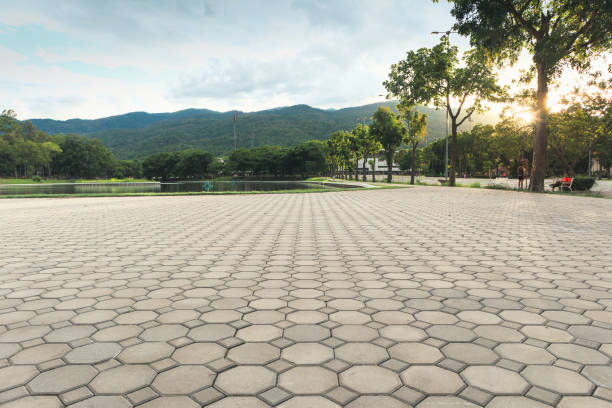 Best Driveway Paver Repair  in Farmville, NC