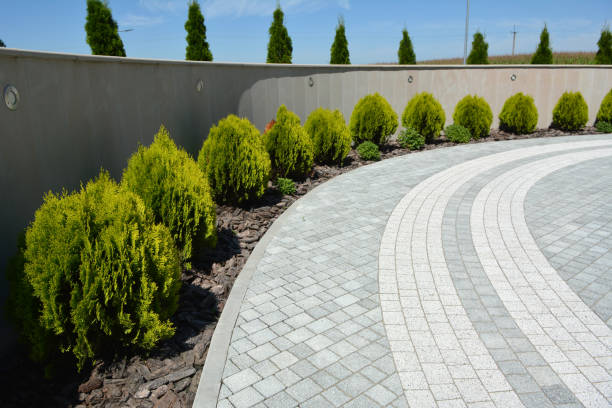 Reasons to Select Us for Your Driveway Paving Requirements in Farmville, NC